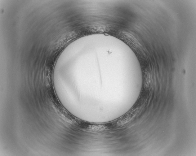 X0000087370414200705111715