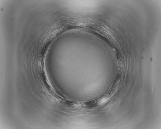 X0000087370415200705111715