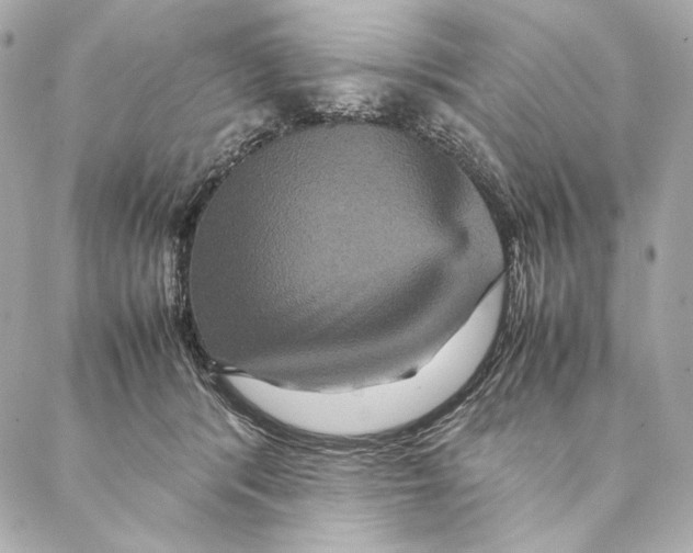 X0000087370416200705111715