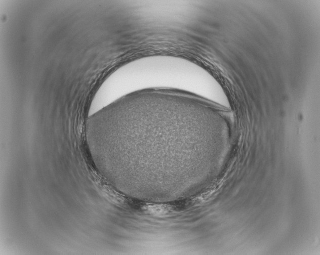 X0000087370417200705111715