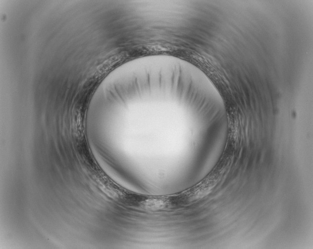 X0000087370418200705111715