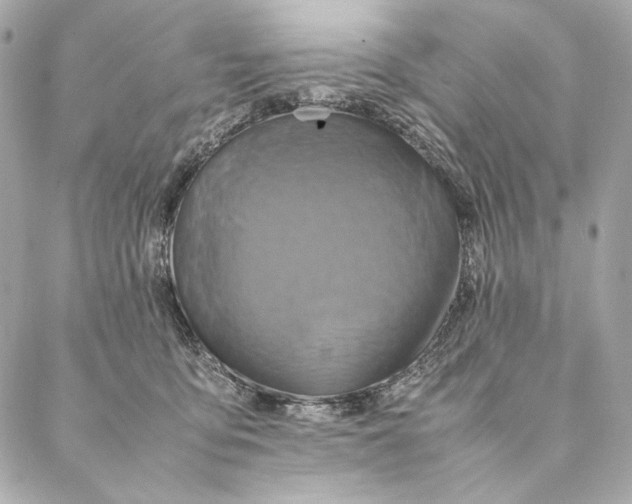 X0000087370419200705111715