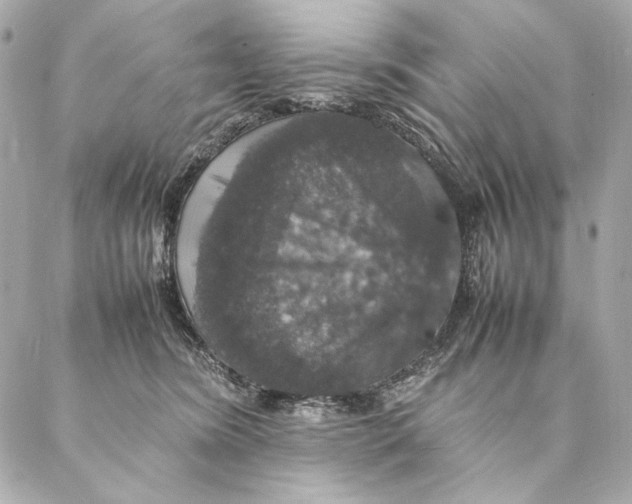 X0000087370420200705111715