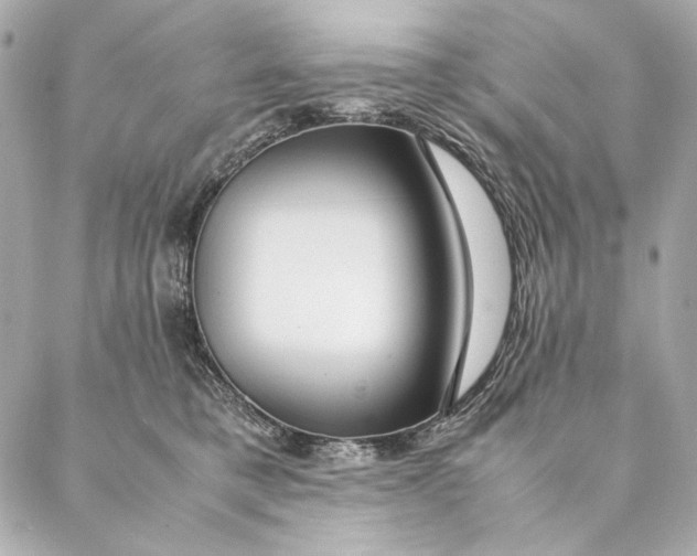 X0000087370421200705111715