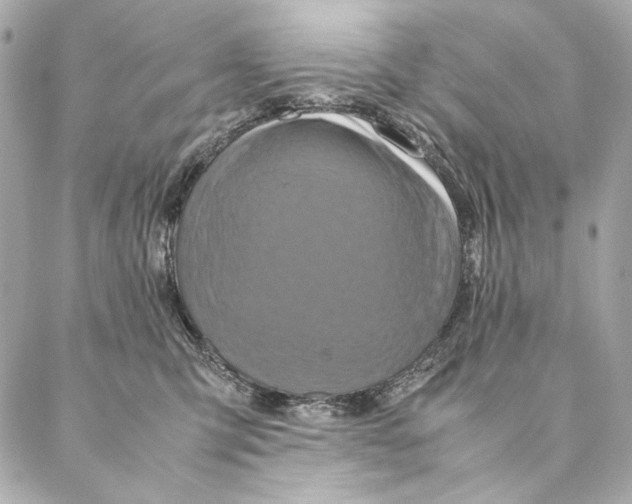 X0000087370423200705111715