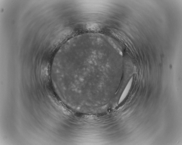 X0000087370424200705111715