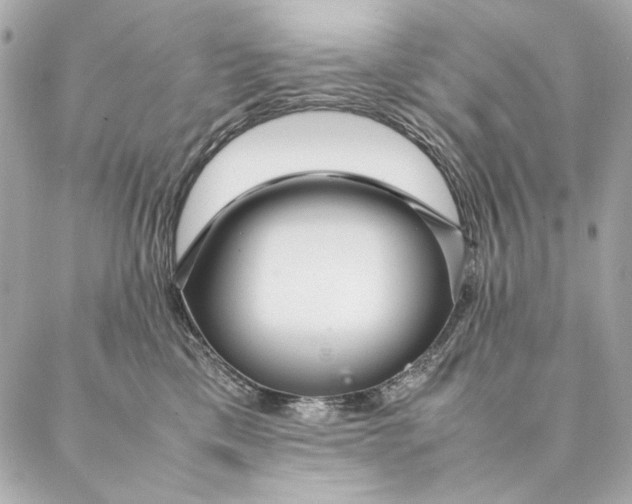 X0000087370425200705111715