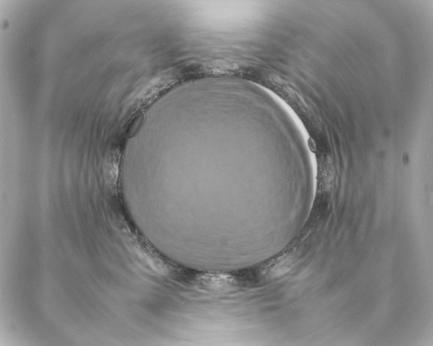 X0000087370427200705111715