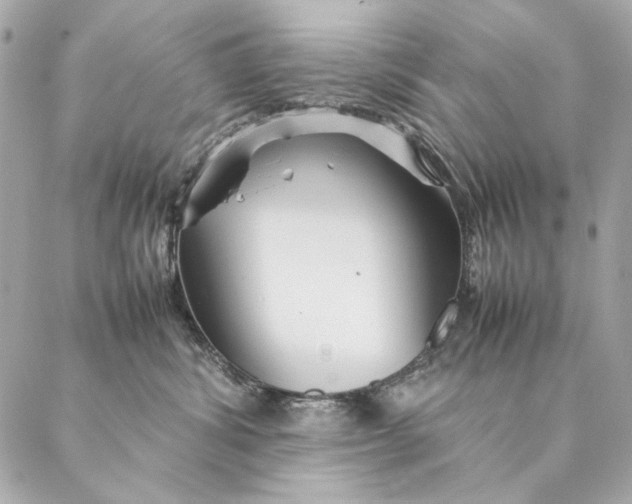 X0000087370428200705111715