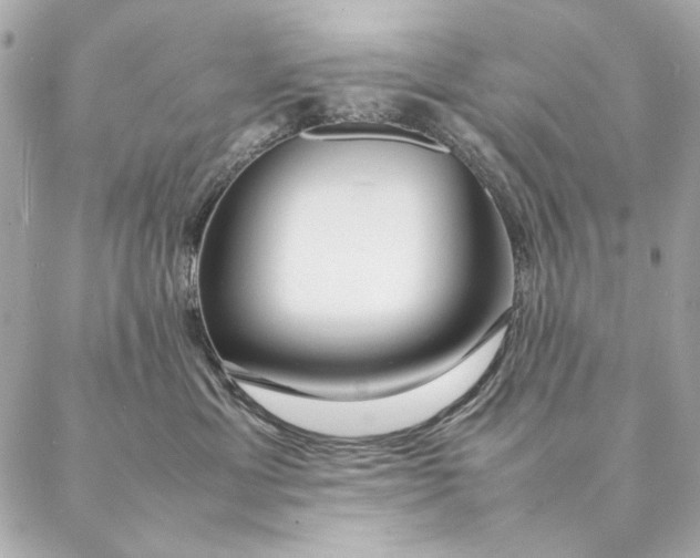 X0000087370429200705111715