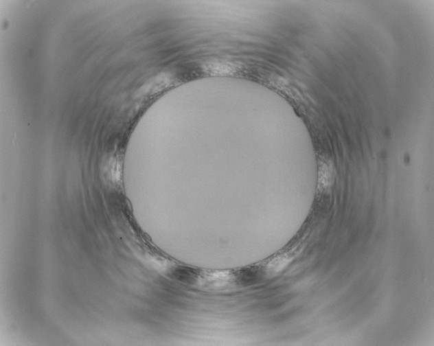 X0000087370431200705111715