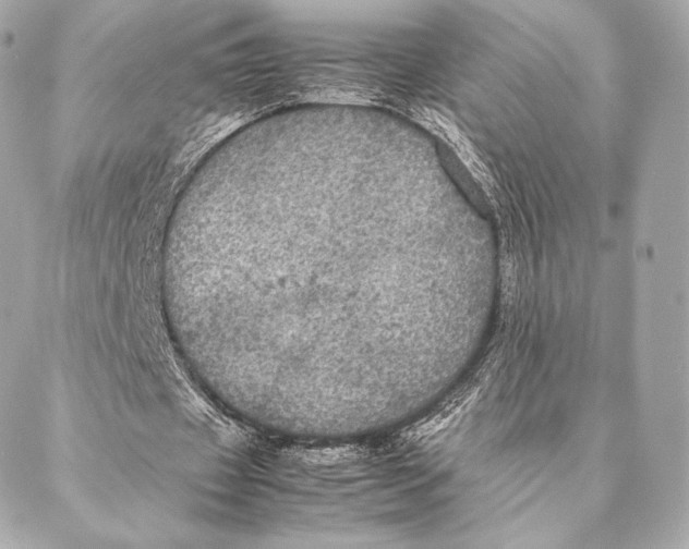 X0000087370433200705111714