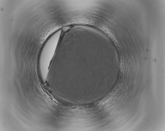 X0000087370434200705111714