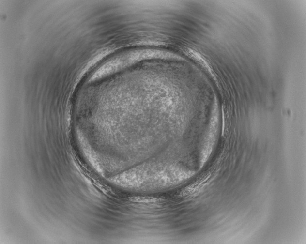 X0000087370435200705111714