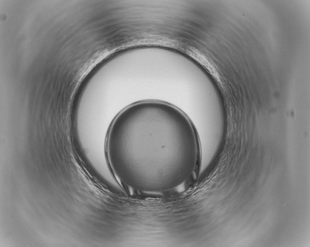 X0000087370436200705111714