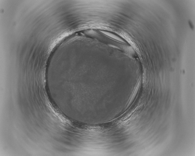 X0000087370438200705111714