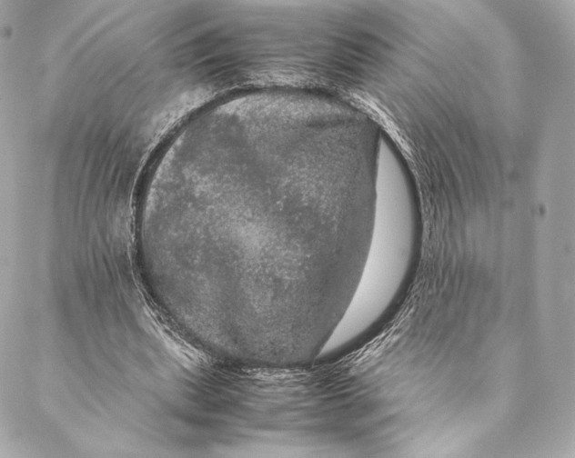 X0000087370439200705111714