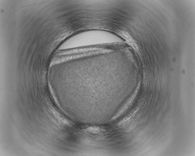 X0000087370441200705111714