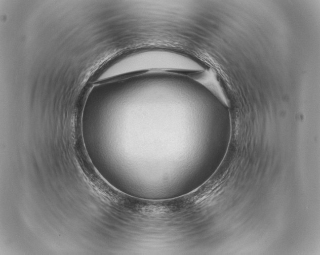 X0000087370444200705111714