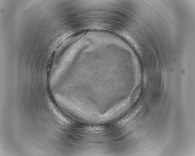 X0000087370445200705111714