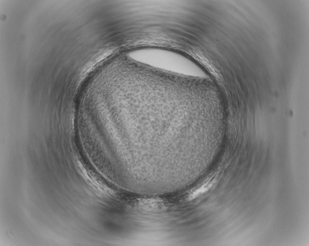 X0000087370446200705111714