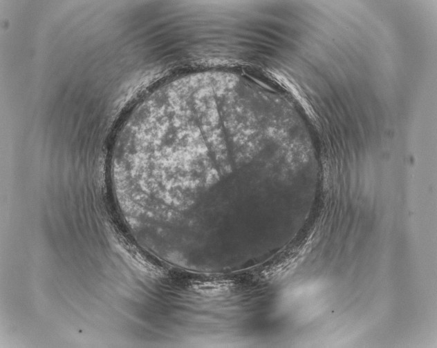 X0000087370447200705111714