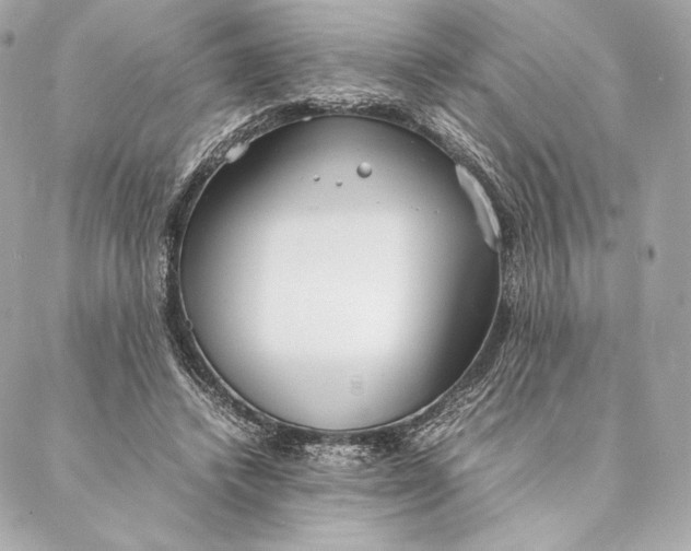 X0000087370448200705111714