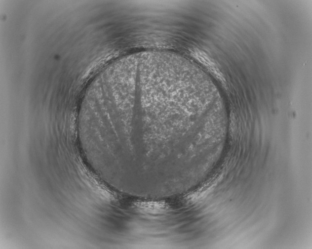 X0000087370449200705111714