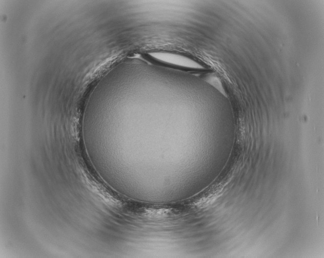 X0000087370450200705111714