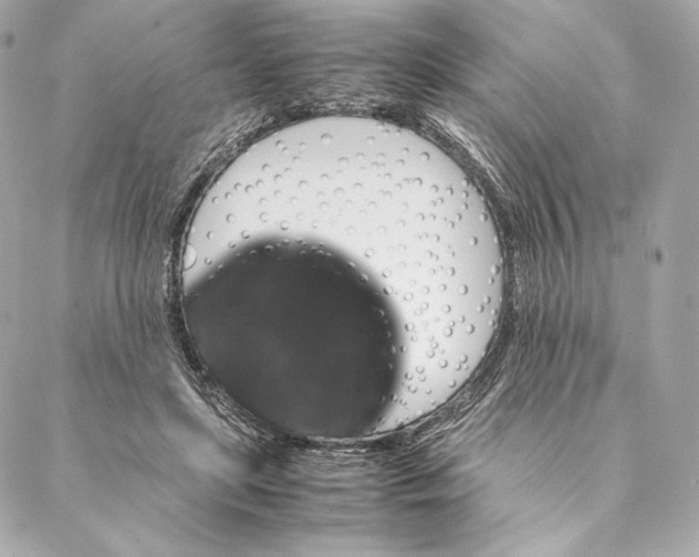 X0000087370451200705111714