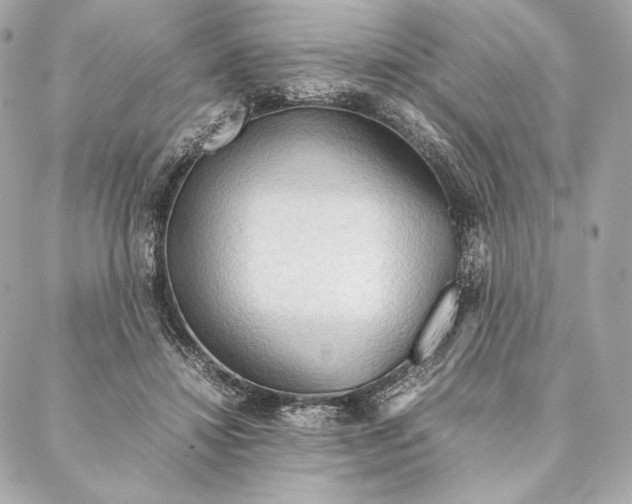 X0000087370452200705111714