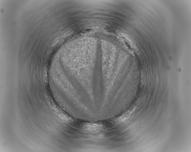 X0000087370453200705111714