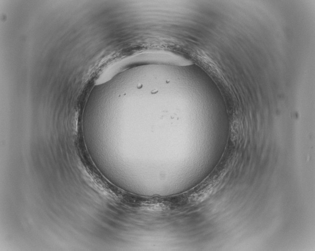 X0000087370454200705111714