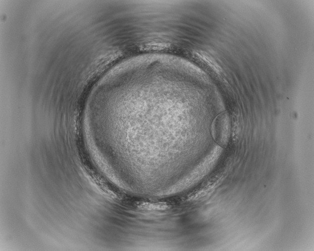 X0000087370455200705111714