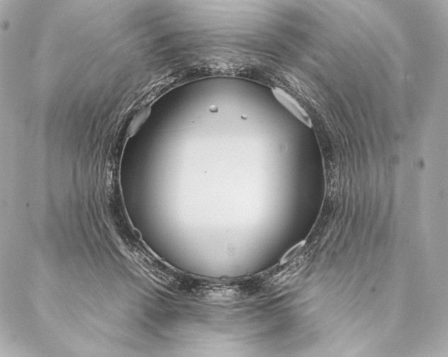 X0000087370456200705111714