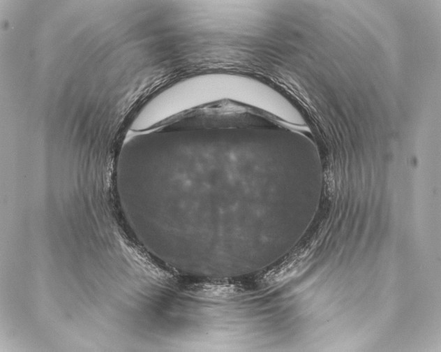 X0000087370458200705111714