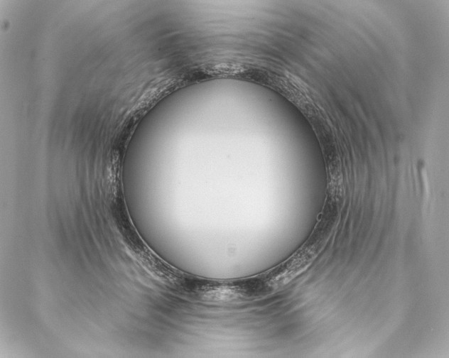 X0000087370460200705111714