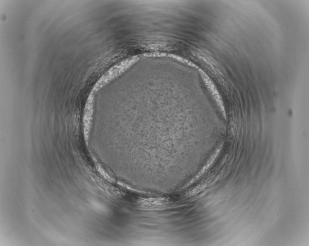 X0000087370461200705111714