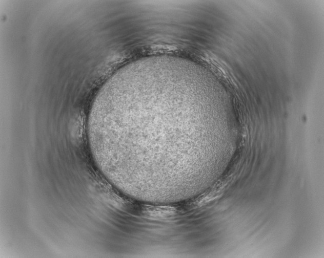 X0000087370463200705111715