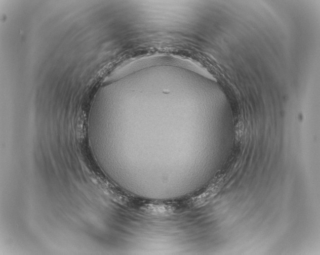 X0000087370464200705111715