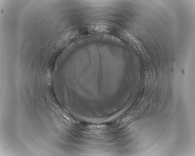 X0000087370465200705111715