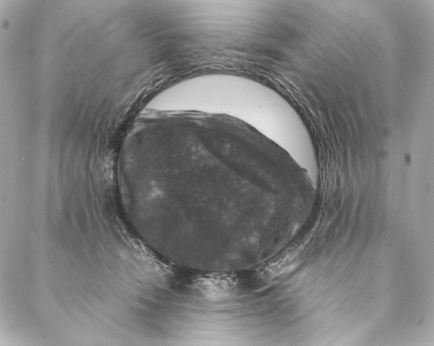 X0000087370466200705111715