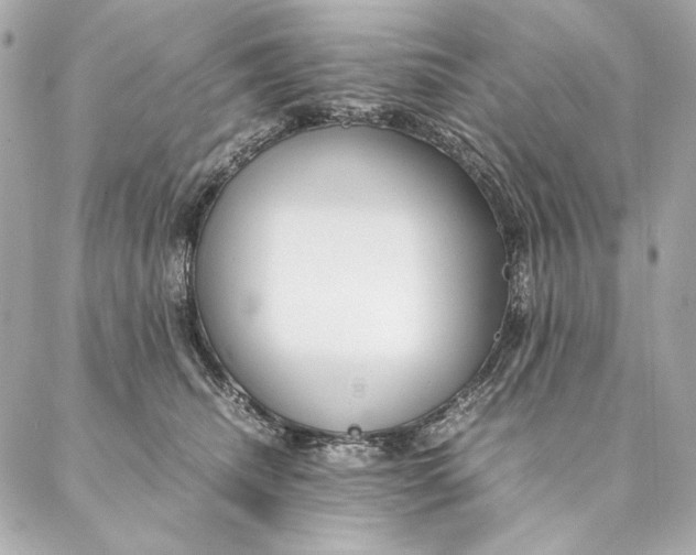 X0000087370468200705111715