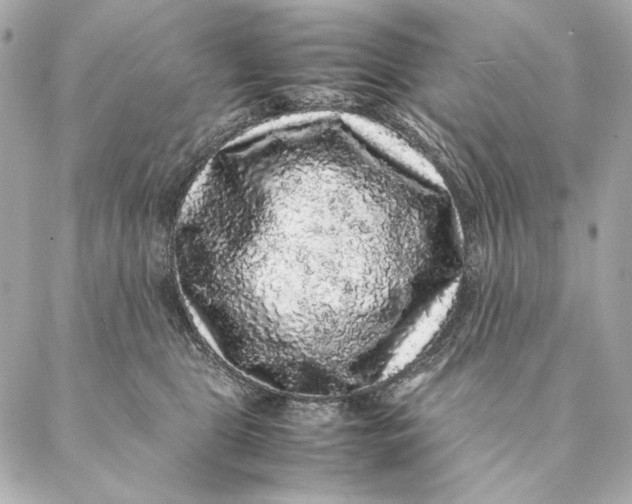 X0000087370469200705111715