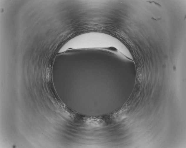 X0000087370471200705111715