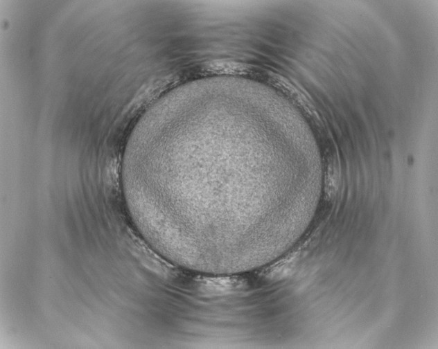 X0000087370473200705111715