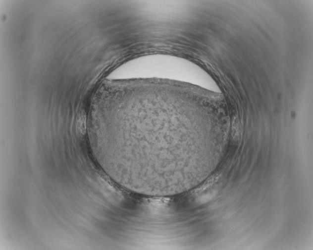 X0000087370474200705111715