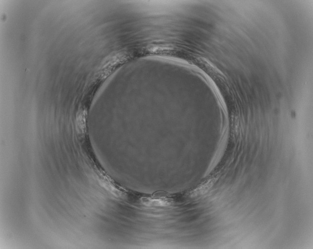 X0000087370475200705111715