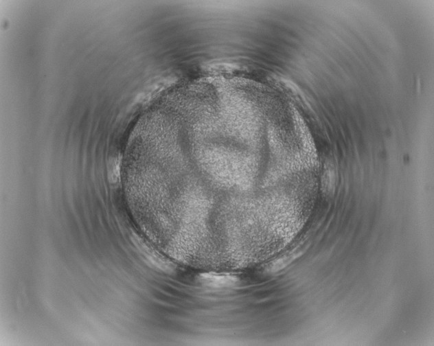 X0000087370477200705111715