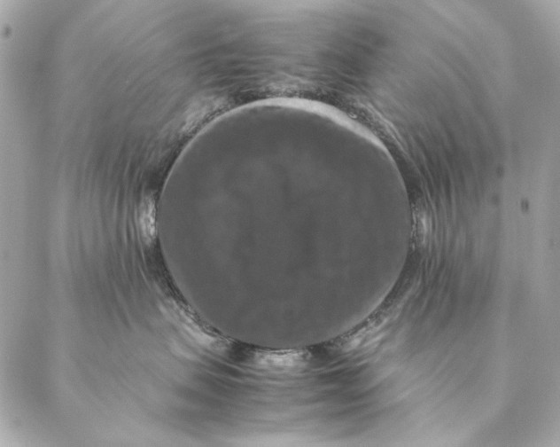 X0000087370479200705111715